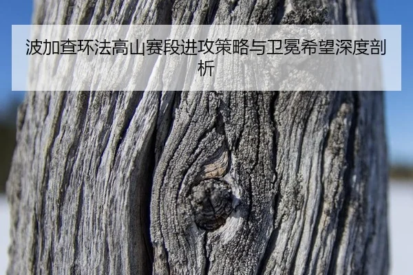 波加查环法高山赛段进攻策略与卫冕希望深度剖析