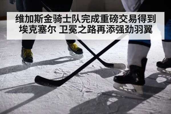 维加斯金骑士队完成重磅交易得到埃克塞尔 卫冕之路再添强劲羽翼
